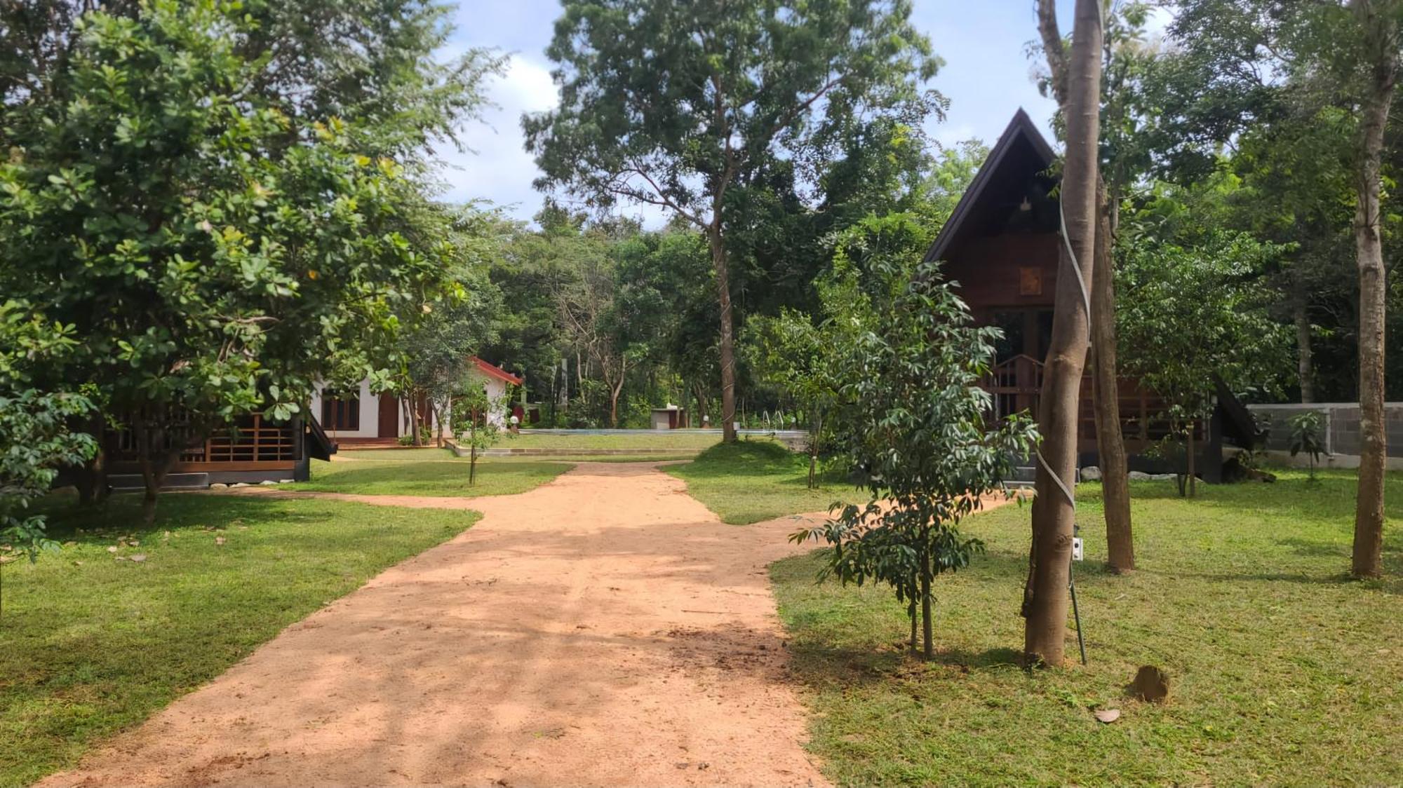 Lion King Jungle Cabanas Sigiriya Eksteriør billede