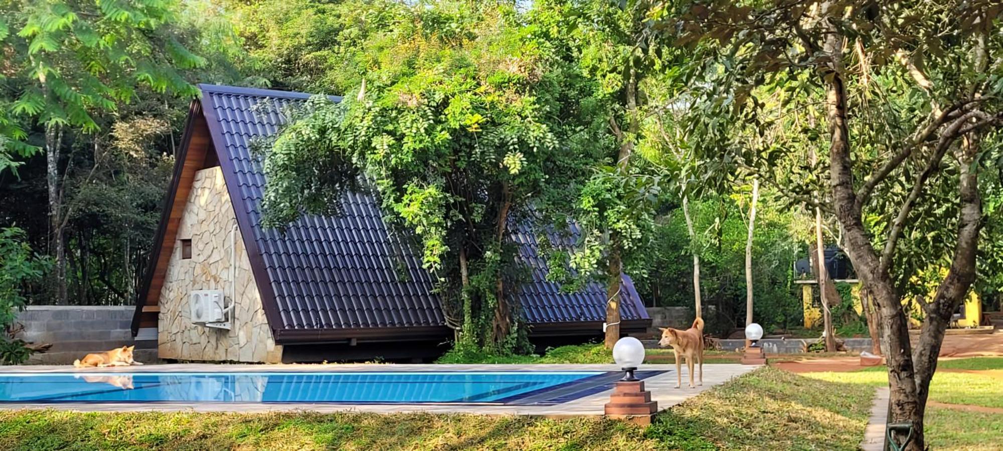 Lion King Jungle Cabanas Sigiriya Eksteriør billede