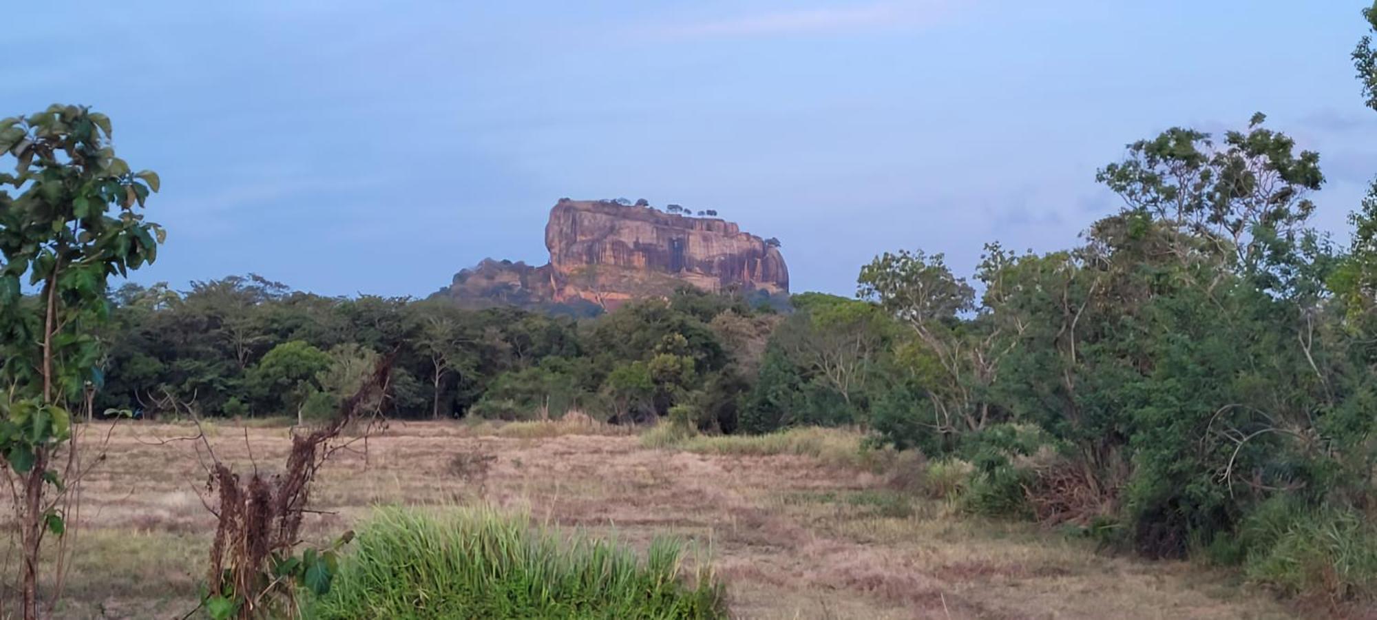 Lion King Jungle Cabanas Sigiriya Eksteriør billede