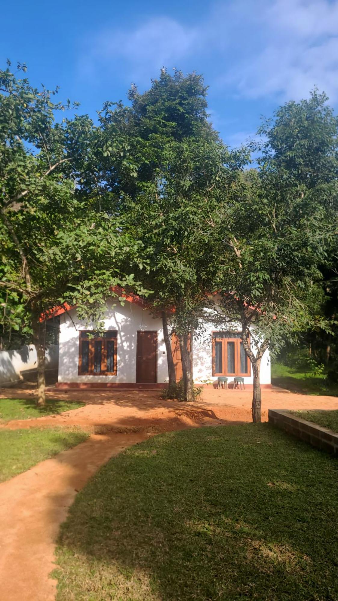 Lion King Jungle Cabanas Sigiriya Eksteriør billede