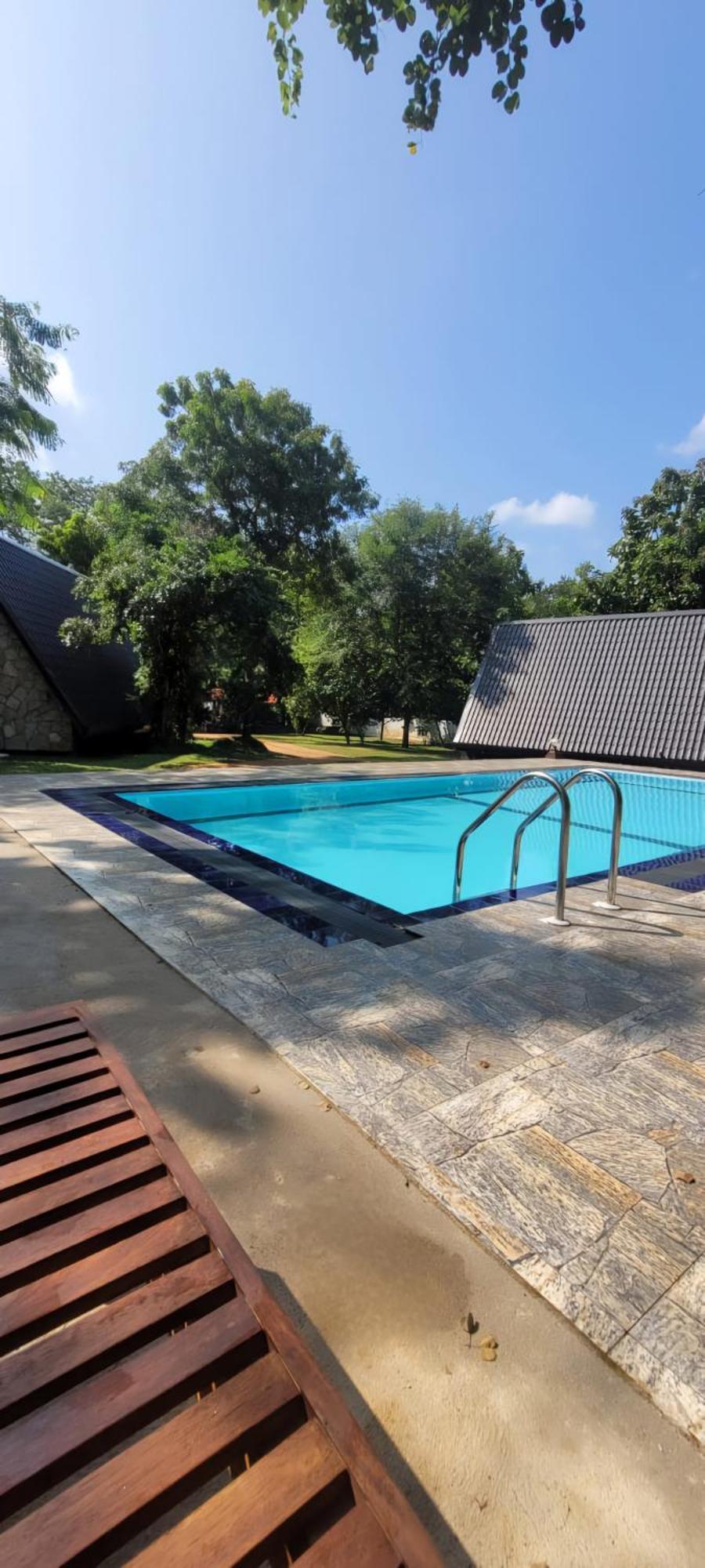 Lion King Jungle Cabanas Sigiriya Eksteriør billede